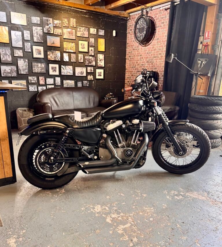 Harley-Davidson Nightster 2009, photo 2