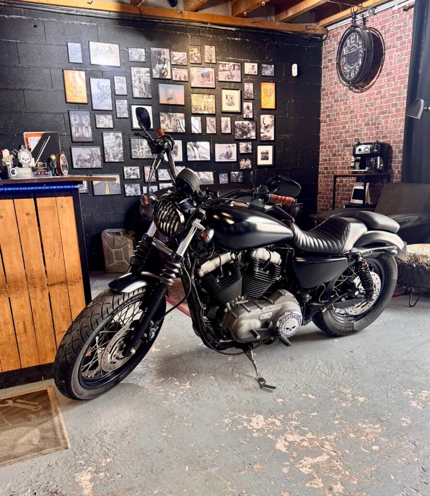 Harley-Davidson Nightster 2009, photo 1