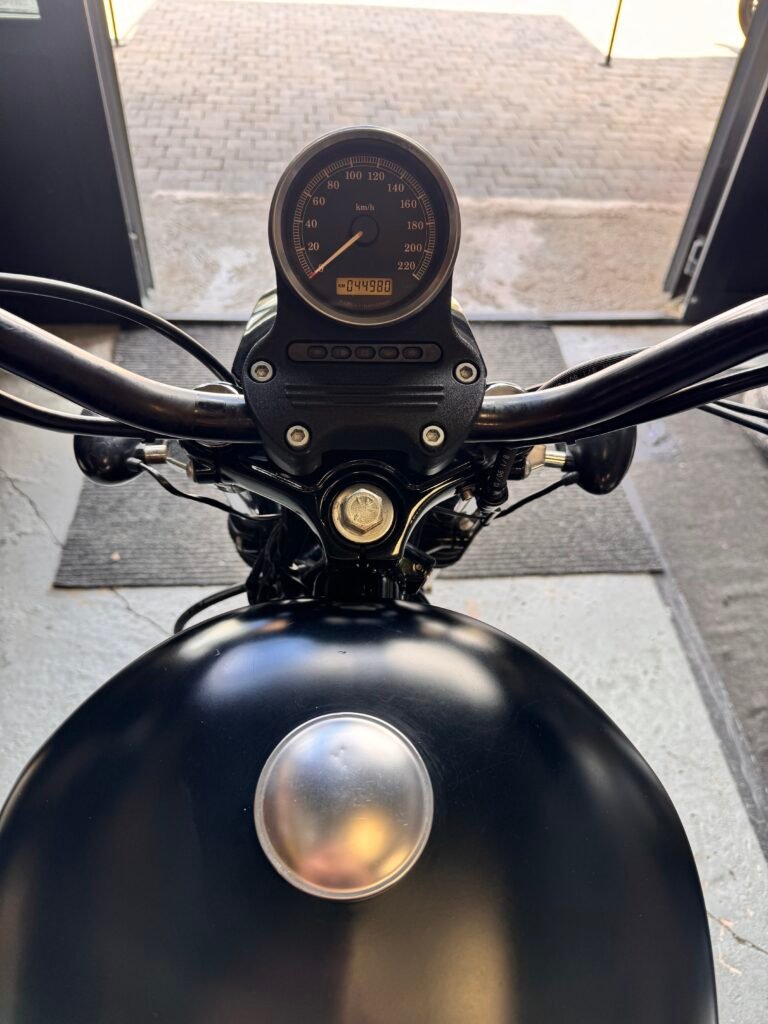 Harley-Davidson Nightster 2009, photo 3